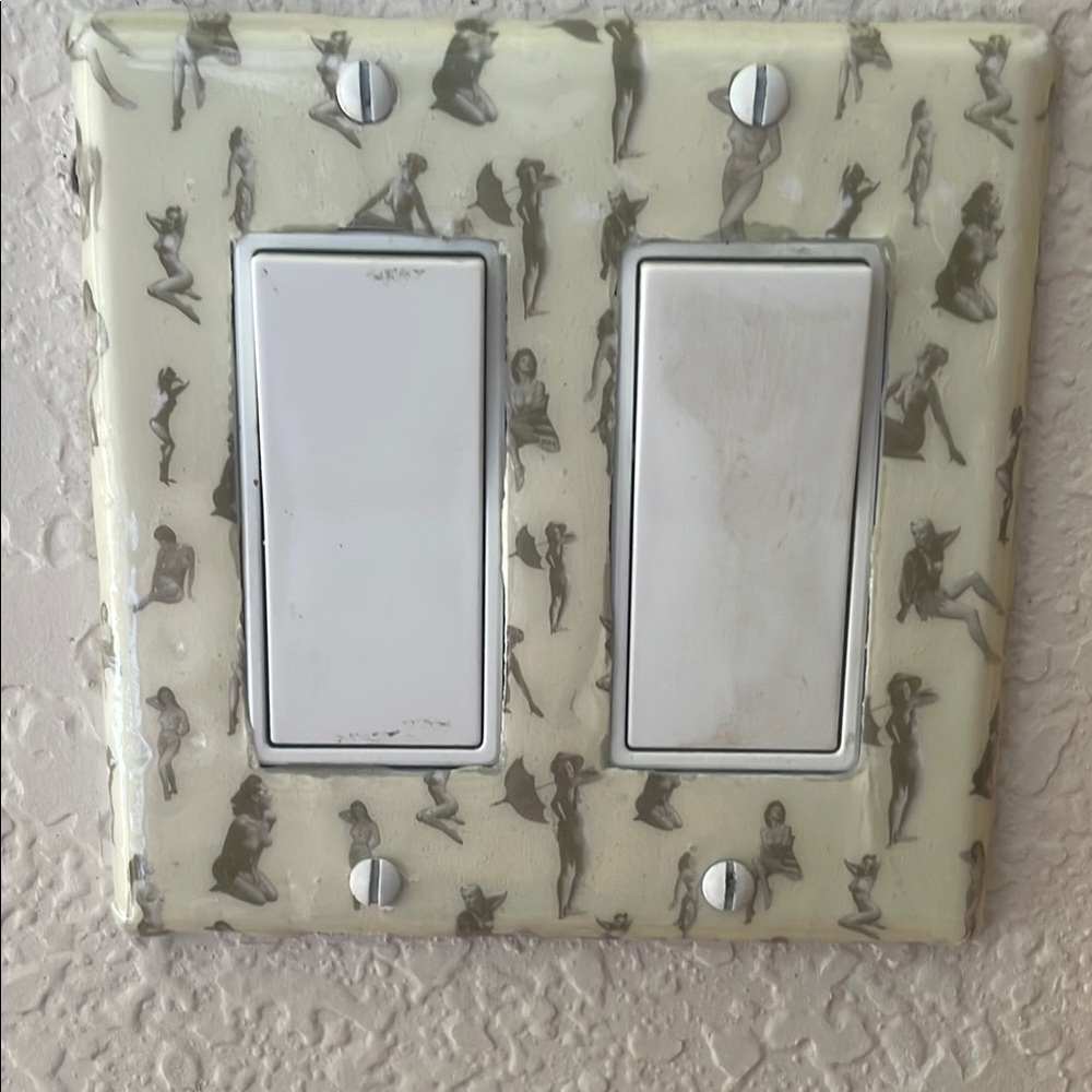 Stylish Gray and White Light Switch Cover